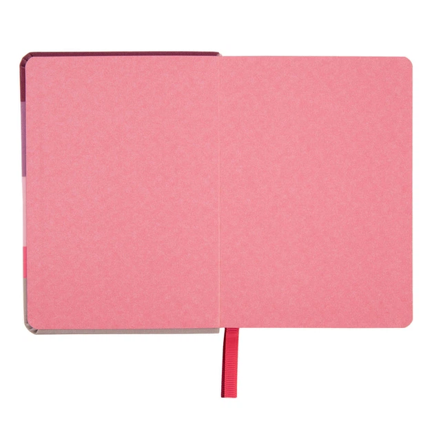 Дневник датированный 2025 Leo Planner Vento A6 352 страницы принт (252601) - изображение 4