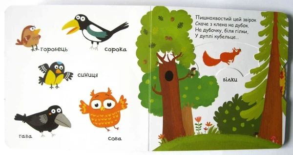 Тварини в лісі - Василь Федієнко - изображение 7
