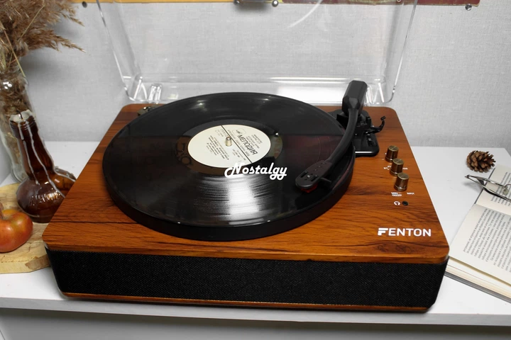 Вініловий програвач Fenton TT Classic Plus Wood з Bluetooth, USB з колонками, грамофон для вінілових дисків - изображение 11
