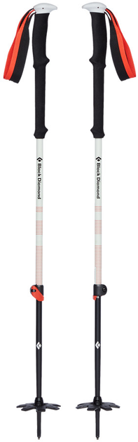 Kije skitourowe Black Diamond Expedition 2 Ski Poles 145 cm (793661508601) - obraz 1