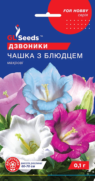 Насіння Дзвоники Чашка з блюдцем махрові 0,1г GL Seeds - Фото 1 Насіння Дзвоники Чашка з блюдцем махрові 0,1г GL Seeds - зображення 1