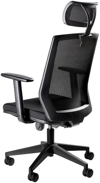 Fotel biurowy ergonomiczny Esta FS02-1H Black (5908242402741) - obraz 2