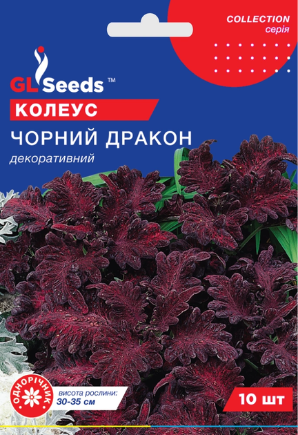 Насіння Колеус Чорний дракон 10нас GL Seeds - Фото 1 Насіння Колеус Чорний дракон 10нас GL Seeds - зображення 1