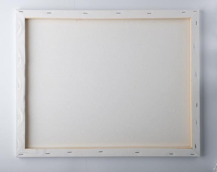 Картина за номерами Twoje Hobby Лев 40 x 50 см (7427298504936) - зображення 3