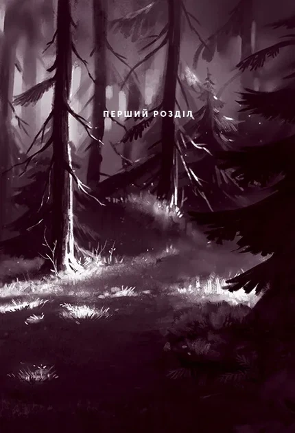 Комикс Северное сияние. Викинги и Оракул. Книга 2. Малин Фальк. Графический роман (на украинском) - изображение 3