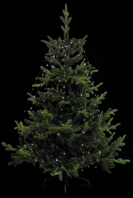 Білі вогники для ялинки Feeric Lights & Christmas 170 LED (3560238384039) - зображення 3