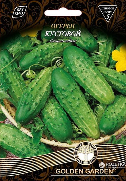 Кустовой огурец.