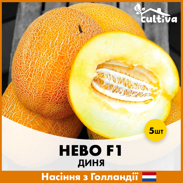 Голландские семена Hazera Дыня Нево F1, 5 шт - изображение 4