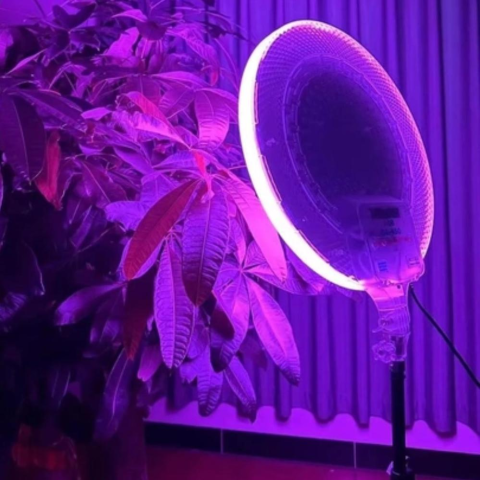 Кругла світлодіодна лампа 45см RGB-LED кольорова з пультом для фото та відео(225gs-450)(WB) - изображение 3