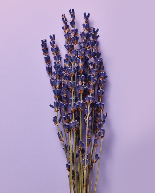 Спрей для тіла Victoria's Secret Lavender & Vanilla парфумований 250 мл (667557109558) - зображення 4