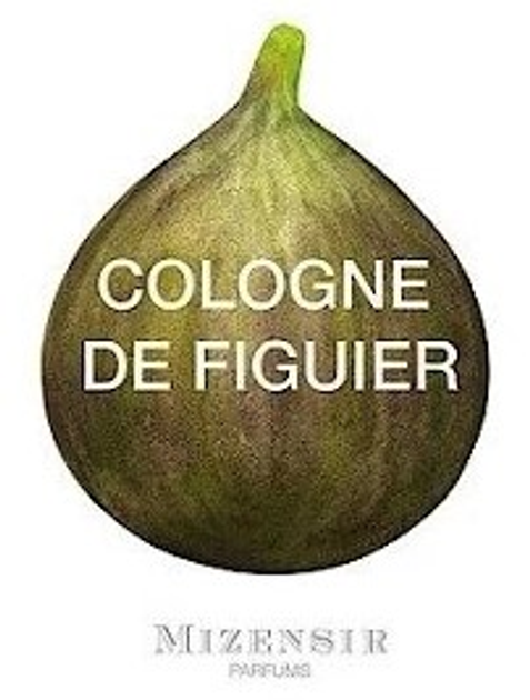 Парфумована вода унісекс Mizensir Cologne De Figuier 100 мл (7640105059485) - зображення 4