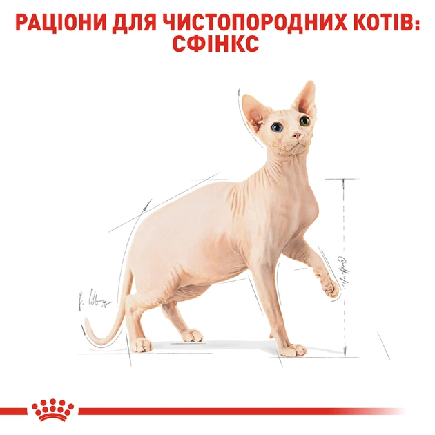 Сухой корм для взрослых кошек Royal Canin Sphynx Adult для кошек породы сфинкс 10 кг (3182550758857) (2556100) - изображение 3