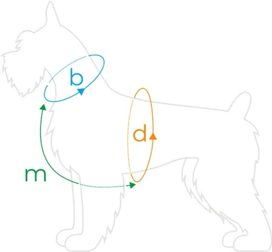Szelki regulowane dla psa Amiplay Samba Guard M Czerwone (5907563280359) - obraz 4