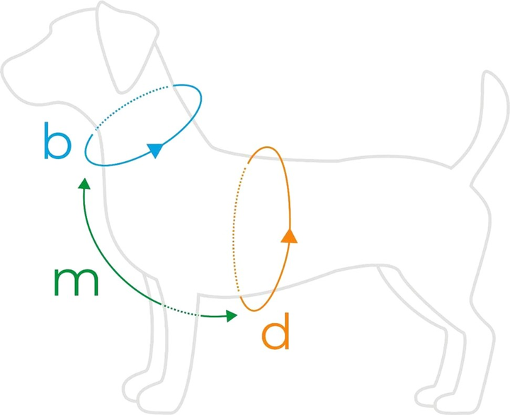 Szelki regulowane dla psa Amiplay Samba Guard S Turkusowe (5907563279049) - obraz 4