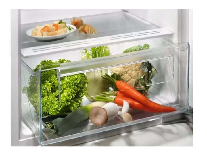 Холодильник Electrolux LRB3AE12S - изображение 2