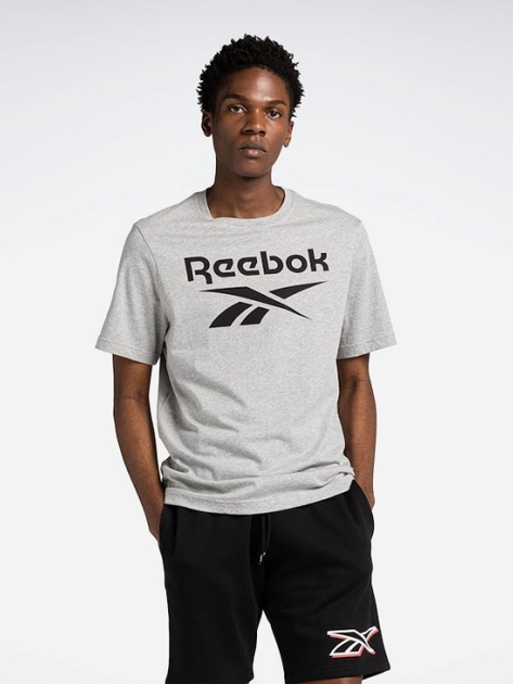 Koszulka męska Reebok Identity Big 100071173 M Szara (4066763454241) - obraz 1