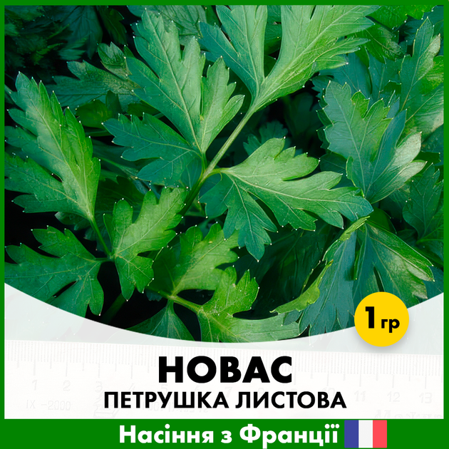 Петрушка листовая Clause Новас, 1 гр - Фото 1 Петрушка листовая Clause Новас, 1 гр - изображение 1