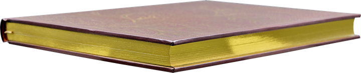 Блокнот Peter Pauper Press Позолочений ліс в лінію 18.4 x 22.9 см 192 аркуші (9781441343109) - зображення 3
