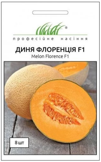 Семена Дыня Флоренция F1, 8 шт (United Genetics) - Фото 1 Семена Дыня Флоренция F1, 8 шт (United Genetics) - изображение 1