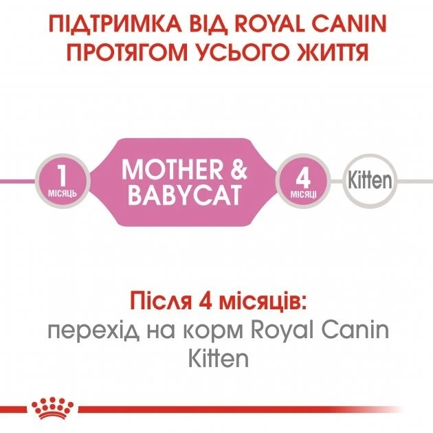 Консерва кош Royal 195гр Mother babycat кошенята 4098002 - зображення 3