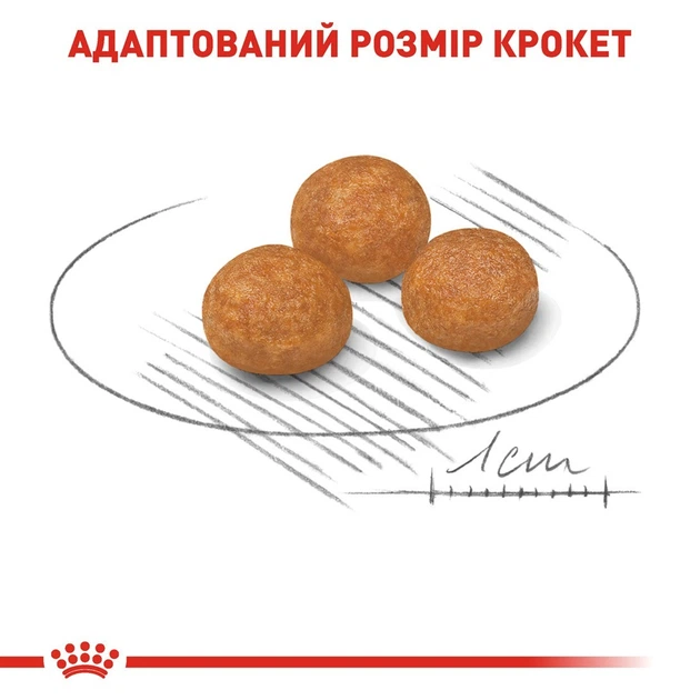 Повнораціонний сухий корм Royal Canin X-Small Adult для дорослих собак мініатюрних порід віком від 10 місяців до 8 років, 1.5 кг, 1003015 - Фото 4 Повнораціонний сухий корм Royal Canin X-Small Adult для дорослих собак мініатюрних порід віком від 10 місяців до 8 років, 1.5 кг, 1003015 - изображение 4