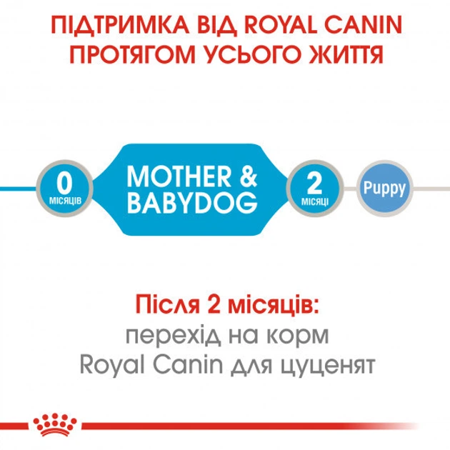 Консерва для собак Royal 195г Starter Mousse - зображення 6