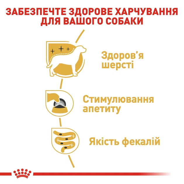 Консерва для собак Royal 195г Starter Mousse 4077002 - изображение 4