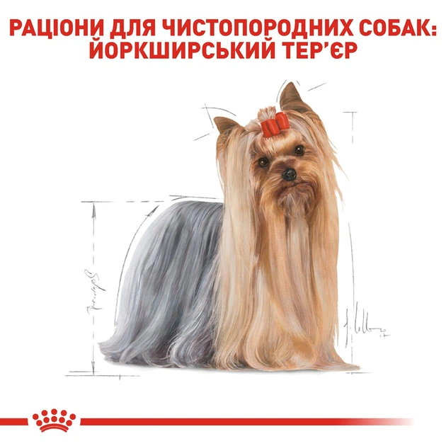 Консерва для собак Royal 195г Starter Mousse 4077002 - изображение 7