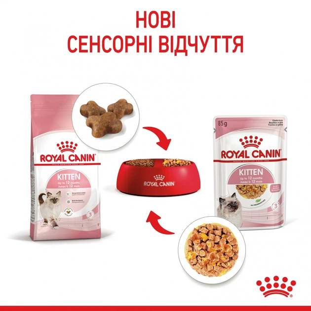 Консерва кош Royal 85гр Kitten JELLY - изображение 3