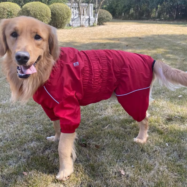 Комбинезон-дождевик для бульдогов, мопсов Derby Dog Suit Red B-S - изображение 6