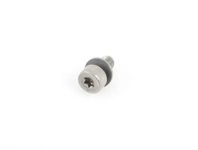 Болт M5X9 кришки паливного фільтра VW/Audi/Skoda/Seat (WHT001455
