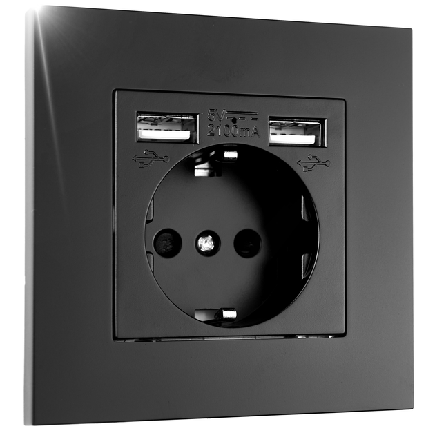 Розетка европейская с двумя USB портами 2.1а для зарядки BRS черный ...