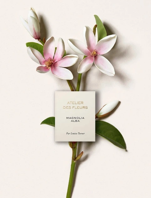 Парфумована вода для жінок Chloe Atelier Des Fleurs Magnolia Alba