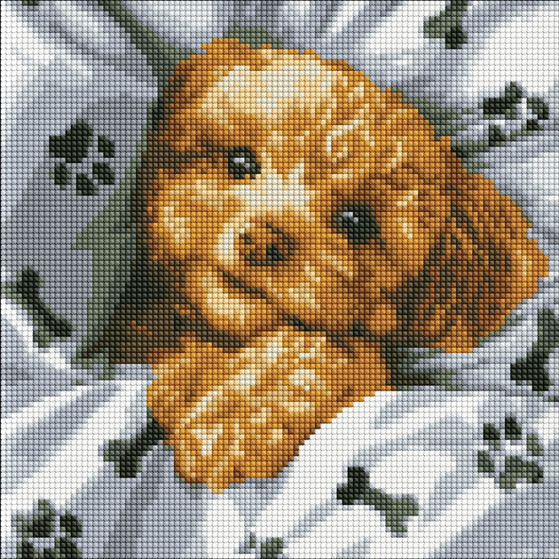 Diamentowa mozaika Ideyka Uroczy Maltipoo 40x40 cm (4823104353287) - obraz 1