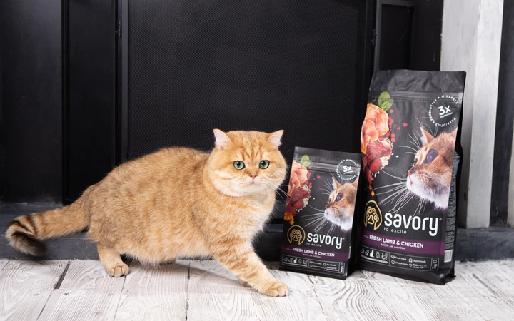 Сухий корм Savory для стерилізованих котів, зі свіжим ягням і куркою, 2 кг (1111163004) - изображение 5