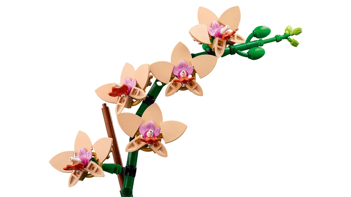 Zestaw klocków LEGO Botanicals Mała orchidea 274 elementy (10343) - obraz 5