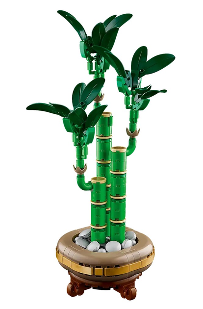 Zestaw klocków LEGO Botanicals Dracena sandera 325 elementów (10344) - obraz 2