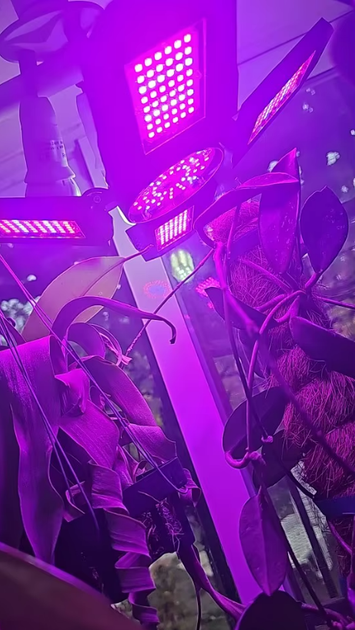 Фитолампа полный спектр E27 фитосветильник для растений 240LED Черный - изображение 5
