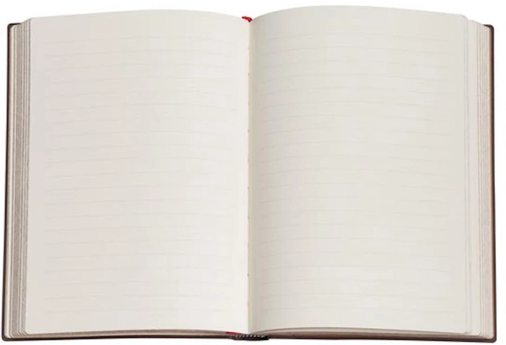 Notatnik Paperblanks Antyczny obraz Spinola 18x23 cm 176 stron w linie (9781439793916) - obraz 5