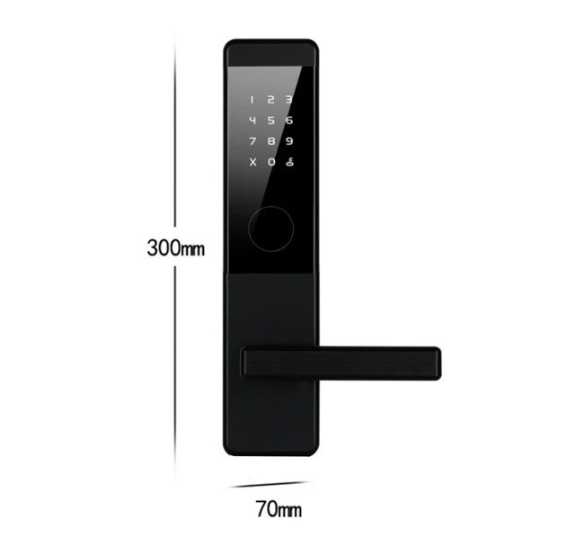 Умный замок Qleung S815 Black - изображение 2