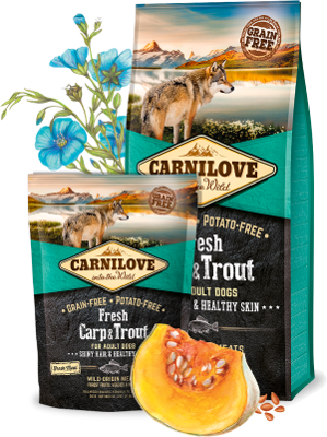 Карнілав корм сухий для дорослих собак усіх порід Carnilove Fresh Carp and Trout for Adult dogs з коропом та фореллю 12 кг + Подарунок 2шт Carnilove Fresh Carp and Trout for Adult dogs з коропом та фореллю 1,5кг - изображение 3