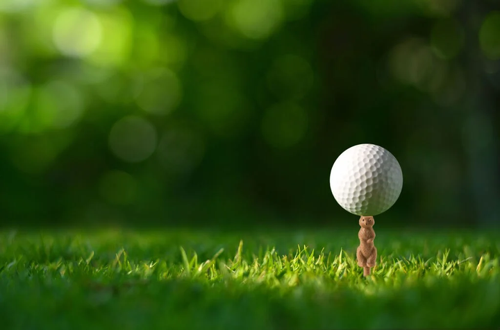 Uchwyt na piłki golfowe Kikkerland Gopher Golf Tee 6 szt. (0612615122963) - obraz 4