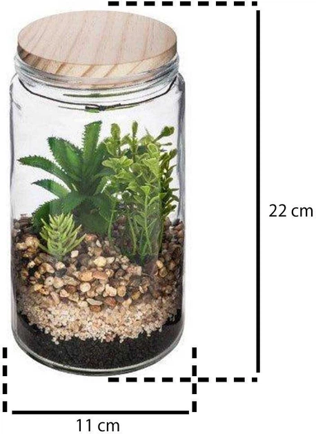 Ліс у склі Atmosphera з сукулентами 11 х 22 см (5902973413427) - зображення 3