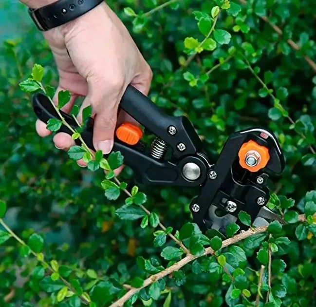Профессиональный секатор Tool For Cutting Grape для обрезки и прививки деревьев с 3 ножами - изображение 5
