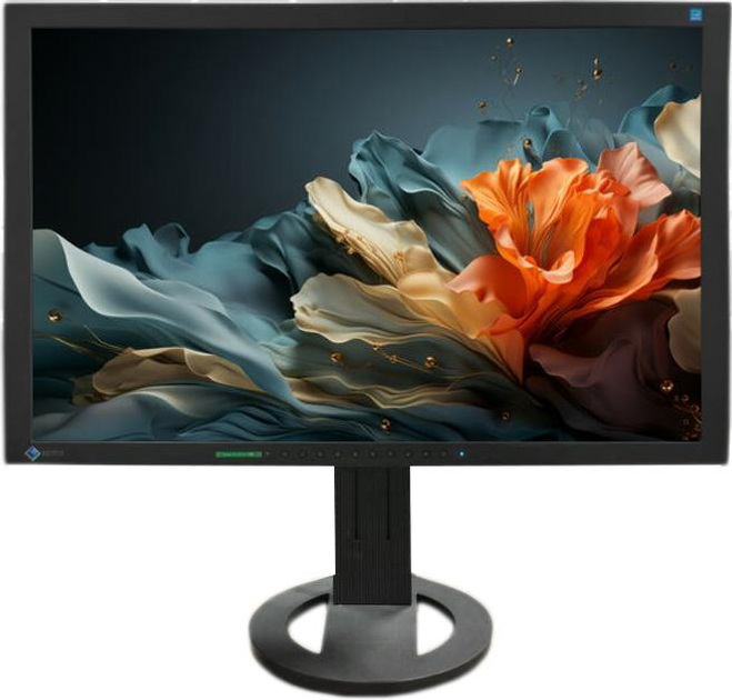 Монитор 24.1" Eizo FlexScan S2402w FullHD TN VGA/DVI Speakers Б/У - изображение 1