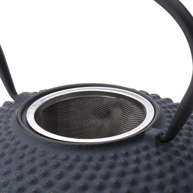 Dzbanek na herbatę Bredemeijer Xilin żeliwny Niebieski 1250 ml (8711871352380) - obraz 3