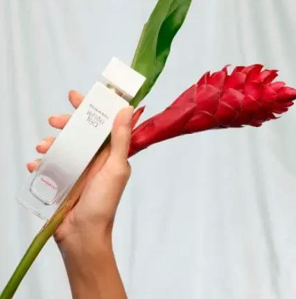 Туалетна Вода Elizabeth Arden White Tea Ginger Lily 50 мл - Фото 4 Туалетна Вода Elizabeth Arden White Tea Ginger Lily 50 мл - зображення 4