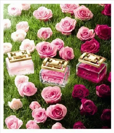 Escada Especially Escada Delicate Notes 30 Мл Туалетная Вода - Фото 6 Escada Especially Escada Delicate Notes 30 Мл Туалетная Вода - изображение 6
