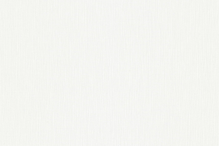 Флізелінові шпалери вініл гарячого тиснення Erismann Fashion for Walls 4 12186-01 білий (1,06х10,05м) - зображення 1