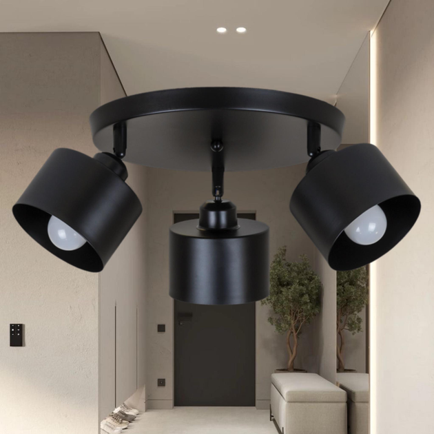 Потолочная люстра с 3 плафонами в стиле лофт "Loft Trio Light" (52-X187F2-3 BK (300)) - изображение 2